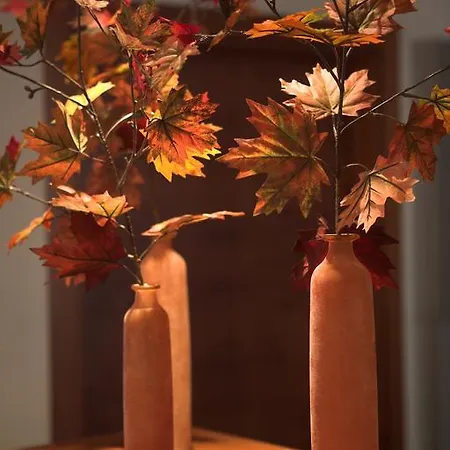 Otel Alexander Am Zoo Frankfurt am Main