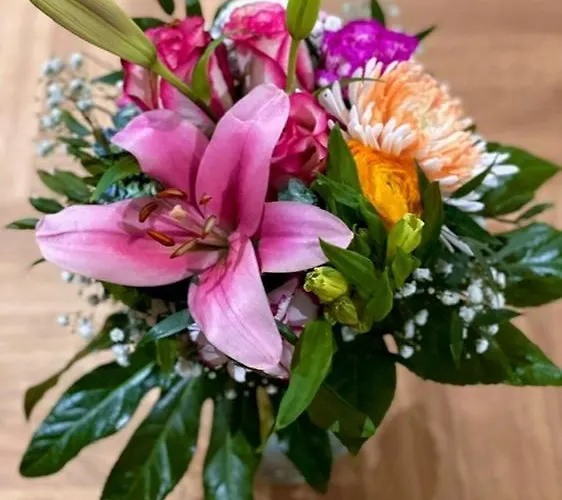 Hotel Alexander Am Zoo 4*