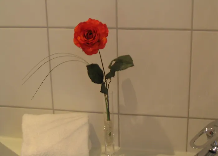 アレクサンダー アム ズー ホテル フランクフルト