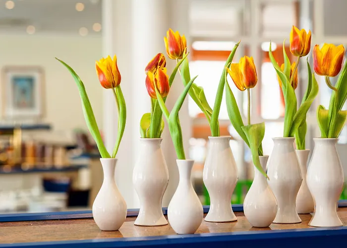 アレクサンダー アム ズー ホテル 4*