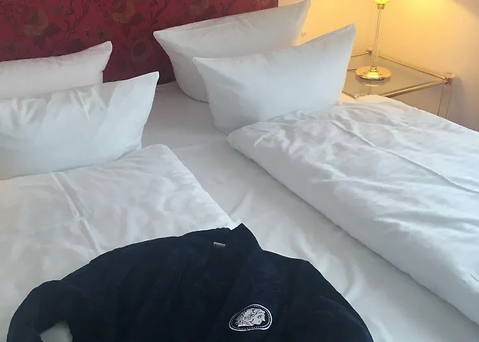 アレクサンダー アム ズー 4* フランクフルト