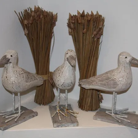 알렉산더 암 주 4*