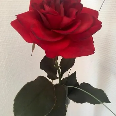 호텔 알렉산더 암 주 프랑크푸르트