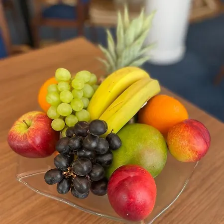 알렉산더 암 주 프랑크푸르트