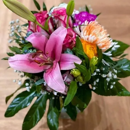 호텔 알렉산더 암 주 4*