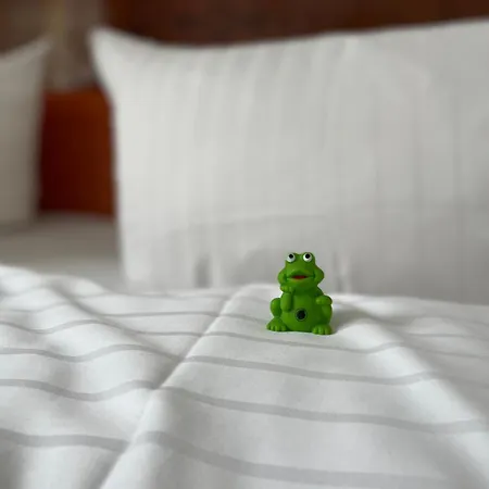 알렉산더 암 주 호텔