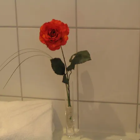 알렉산더 암 주 호텔 프랑크푸르트