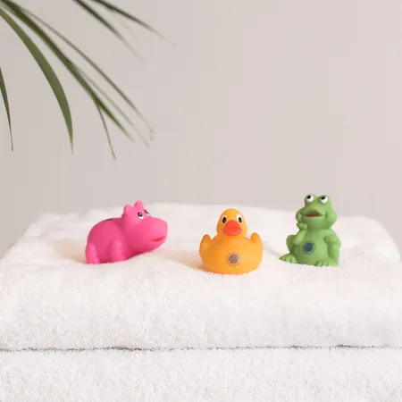 알렉산더 암 주