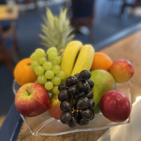 알렉산더 암 주 프랑크푸르트